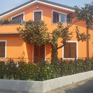 New Life Carrare